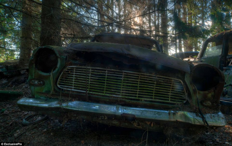 Illustration for article titled Chatillon, Belgium. The Graveyard Of The Cars Of The American Soldiers Deployed In Europe, Who Didn't Take Them Back To The U.S.A.